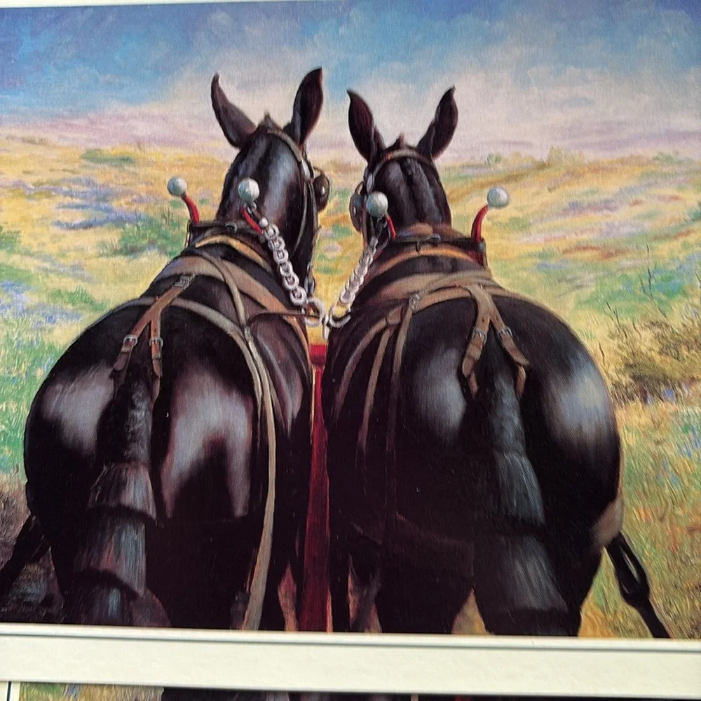 Assorted Greeting Cards with Horse Designs
